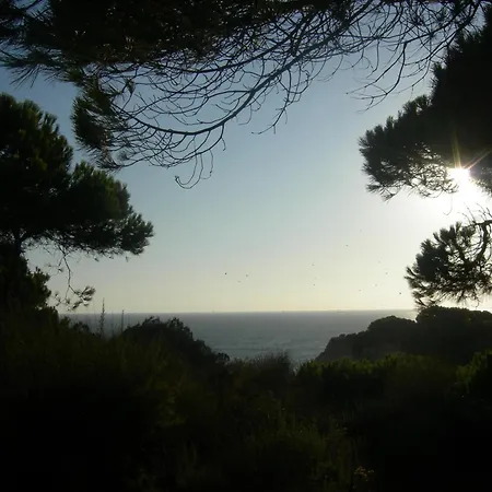 Miramar Appartement *